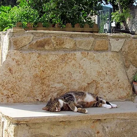 I Grilli Bed & Breakfast Baone